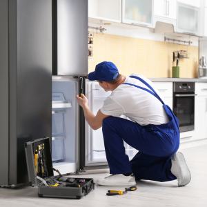 Refrigerator / Fridge Repair & Service